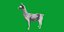 Guanako