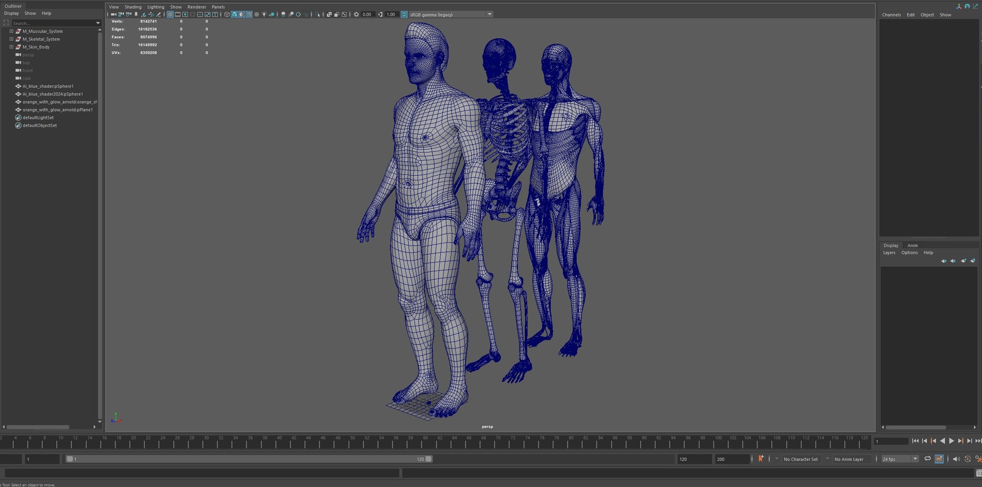 3D Human Male Muscle System Blue and Orange Shading transparency Medical 3D Model model https://p.turbosquid.com/ts-thumb/YL/cQ5p8g/6v/08/jpg/1751913045/1920x1080/fit_q87/6bbdb9fe04ed86a6e795268794cb05b36ad8747f/08.jpg