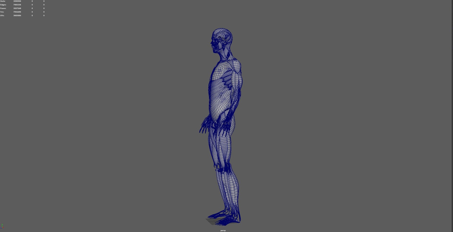 3D Human Male Muscle System Blue and Orange Shading transparency Medical 3D Model model https://p.turbosquid.com/ts-thumb/YL/cQ5p8g/QW/02/jpg/1751913043/1920x1080/fit_q87/2d0b99b307e1e7b1507ce8047cbf5a23ba4eea1e/02.jpg