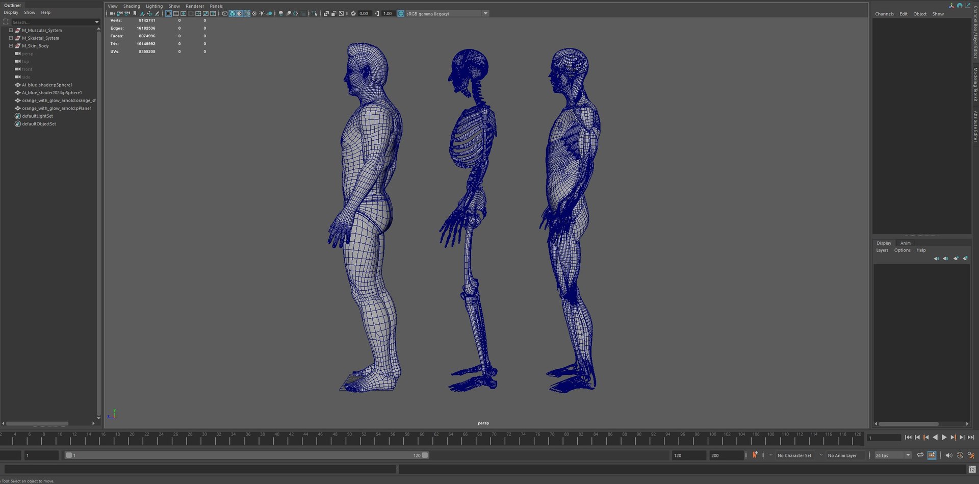 3D Human Male Muscle System Blue and Orange Shading transparency Medical 3D Model model https://p.turbosquid.com/ts-thumb/YL/cQ5p8g/sM/07/jpg/1751913045/1920x1080/fit_q87/b383bdabbad97062b190702a7c7423221d6acd13/07.jpg