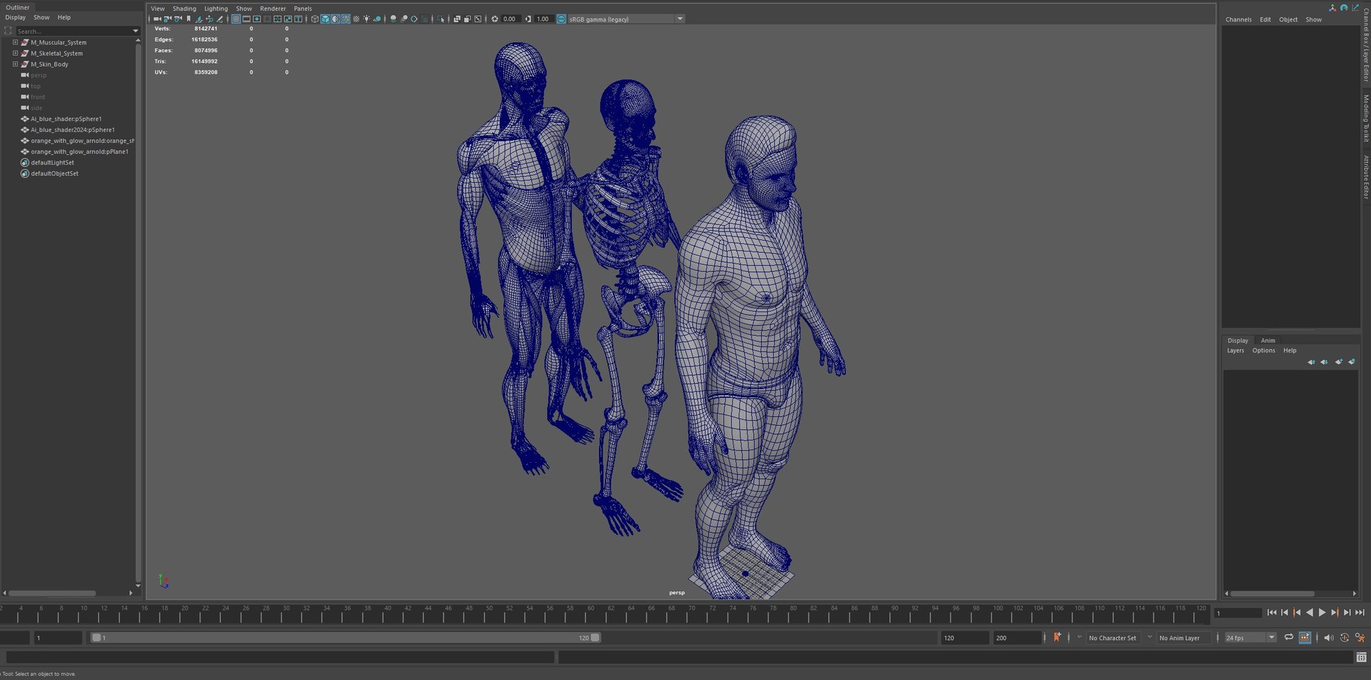 3D Human Male Muscle System Blue and Orange Shading transparency Medical 3D Model model https://p.turbosquid.com/ts-thumb/YL/cQ5p8g/uT/09/jpg/1751913046/1920x1080/fit_q87/82bc569af18b9ee4289644de9fb5e46e3f9044f1/09.jpg
