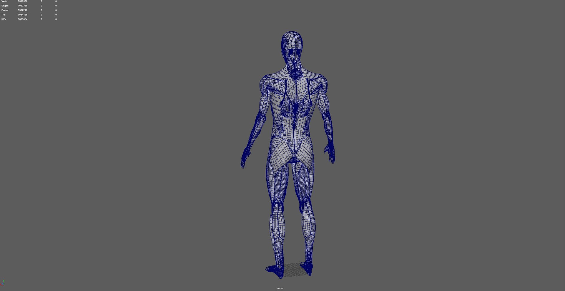 3D Human Male Muscle System Blue and Orange Shading transparency Medical 3D Model model https://p.turbosquid.com/ts-thumb/YL/cQ5p8g/y6/03/jpg/1751913043/1920x1080/fit_q87/8f6301a2905a578a6bbcd61e49b49dabc3c3a8b1/03.jpg