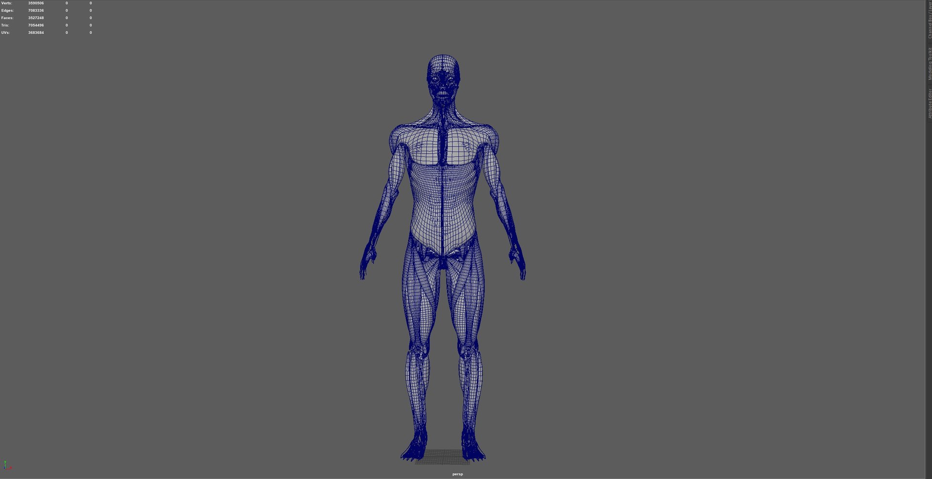 3D Human Male Muscle System Blue and Orange Shading transparency Medical 3D Model model https://p.turbosquid.com/ts-thumb/YL/cQ5p8g/yW/01/jpg/1751913043/1920x1080/fit_q87/9b6fedd07b748a6c0b1f28060fdc0f46bbd10649/01.jpg