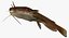 Ameiurus natalis Yellow Bullhead