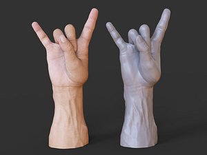 Male Hand Pose 05 model