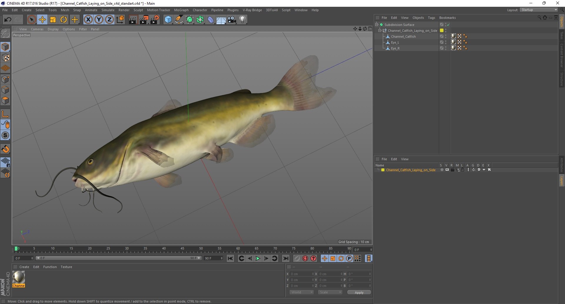 3D Channel Catfish Laying On Side Model - TurboSquid 1830822