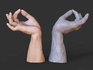 Male Hand Pose 27 3D