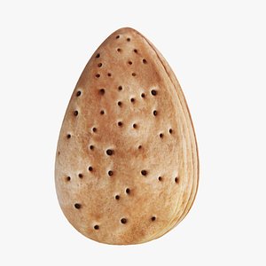 Almond in shell 3D model