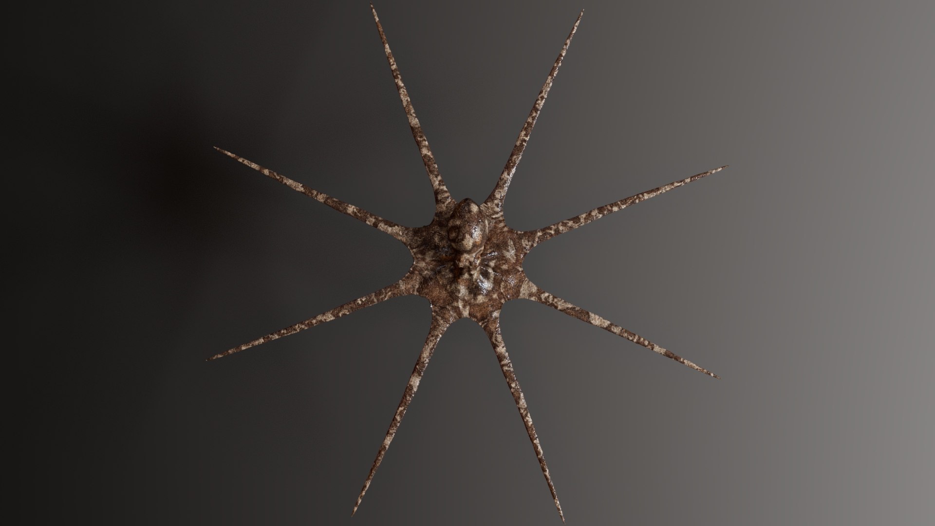 3D Octopus Multicolor Rigged Animated https://p.turbosquid.com/ts-thumb/YM/6J2Hfz/BL/13/jpg/1624463836/1920x1080/fit_q87/95a06dfcb752f8b89d87db57376f5ba80f5f9c15/13.jpg
