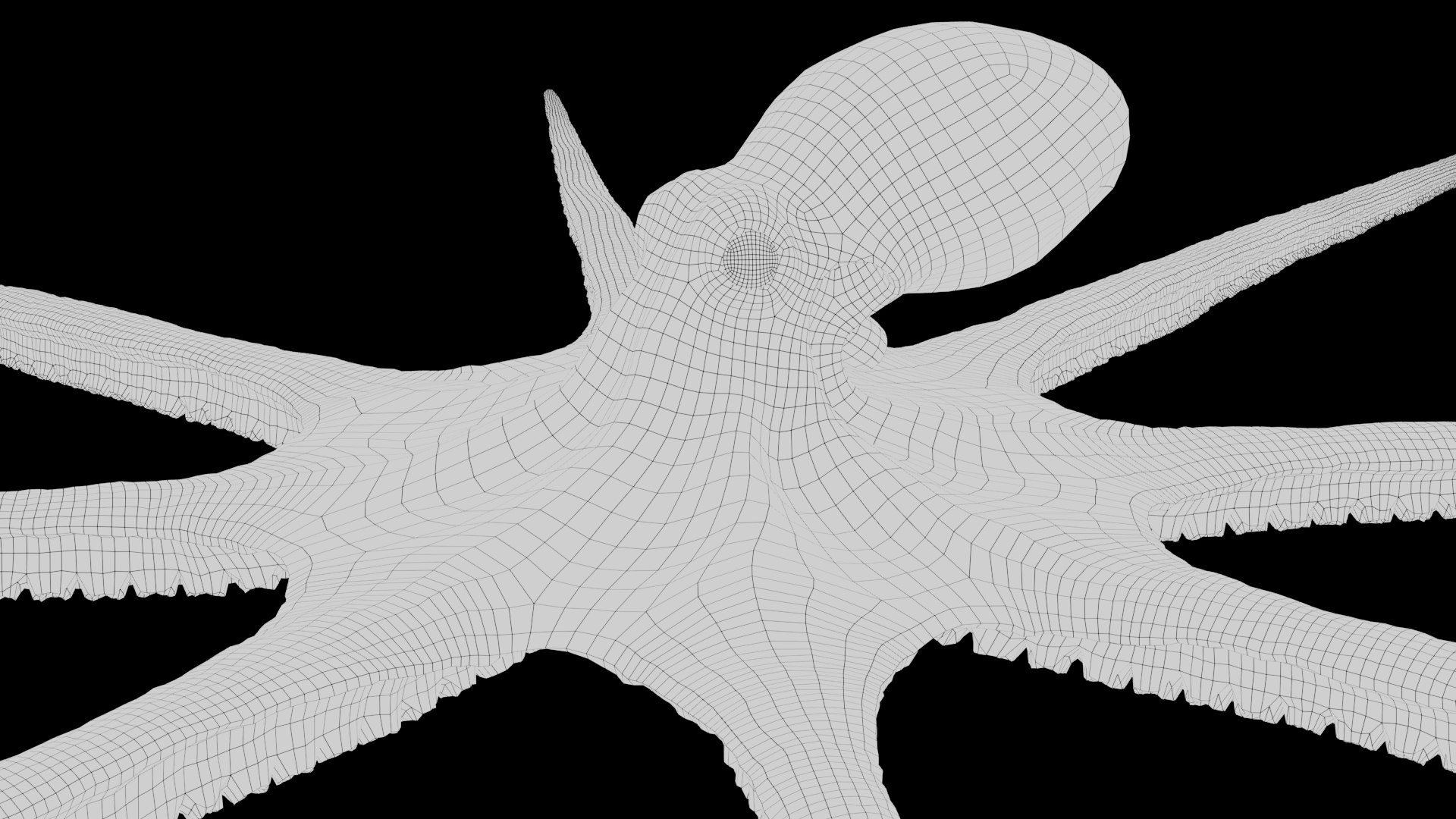 3D Octopus Multicolor Rigged Animated https://p.turbosquid.com/ts-thumb/YM/6J2Hfz/Dg/19/jpg/1624463849/1920x1080/fit_q87/07f3562c6157d1fd96139a871d5d747641b77fa6/19.jpg