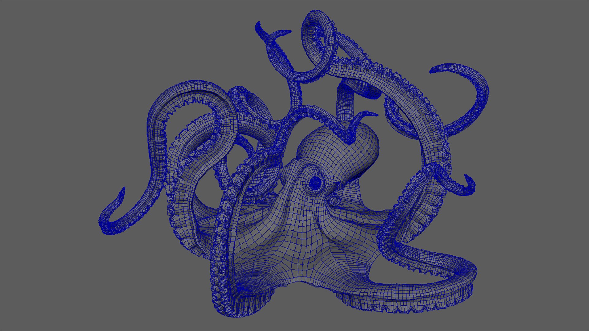 3D Octopus Multicolor Rigged Animated https://p.turbosquid.com/ts-thumb/YM/6J2Hfz/qY/immagine20210623170644/png/1624464103/1920x1080/fit_q87/e5eb36936471943cca3bf69cd0ff21c63d7e97c5/immagine20210623170644.jpg
