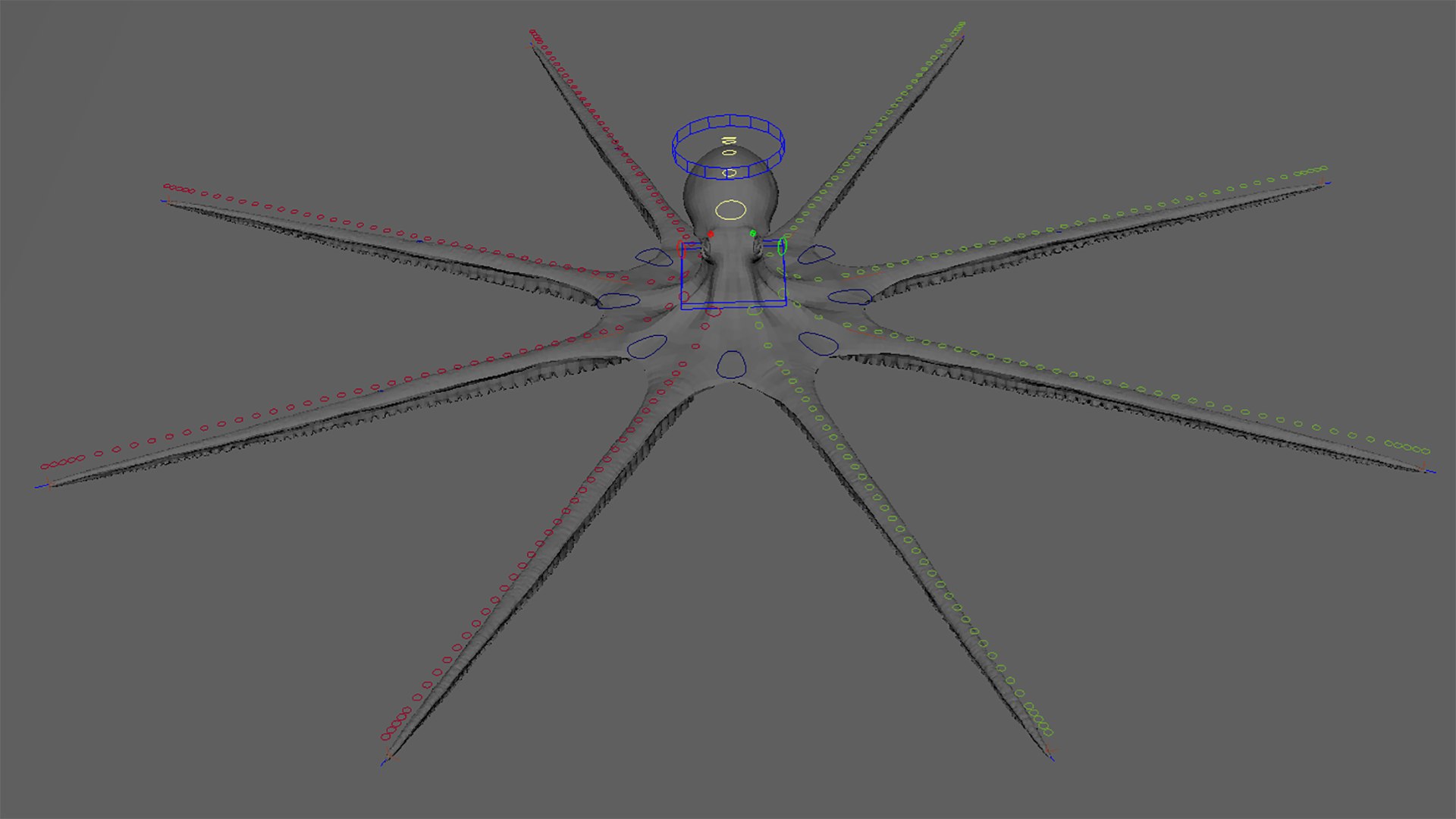 3D Octopus Multicolor Rigged Animated https://p.turbosquid.com/ts-thumb/YM/6J2Hfz/zp/immagine20210623170435/png/1624464094/1920x1080/fit_q87/05b4c57f42e65b6f0a06f5eb9f75c6d887b33453/immagine20210623170435.jpg