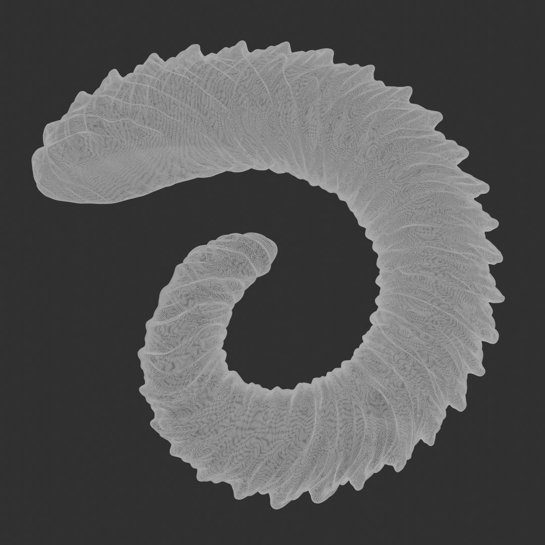 3D Large Curled Horns - Cadence https://p.turbosquid.com/ts-thumb/YM/8UgWNf/e1/large_tieflingwireframe/jpg/1632874153/1920x1080/fit_q87/e6231da51b8ef688a698b9415f60e5aa9f2ba538/large_tieflingwireframe.jpg