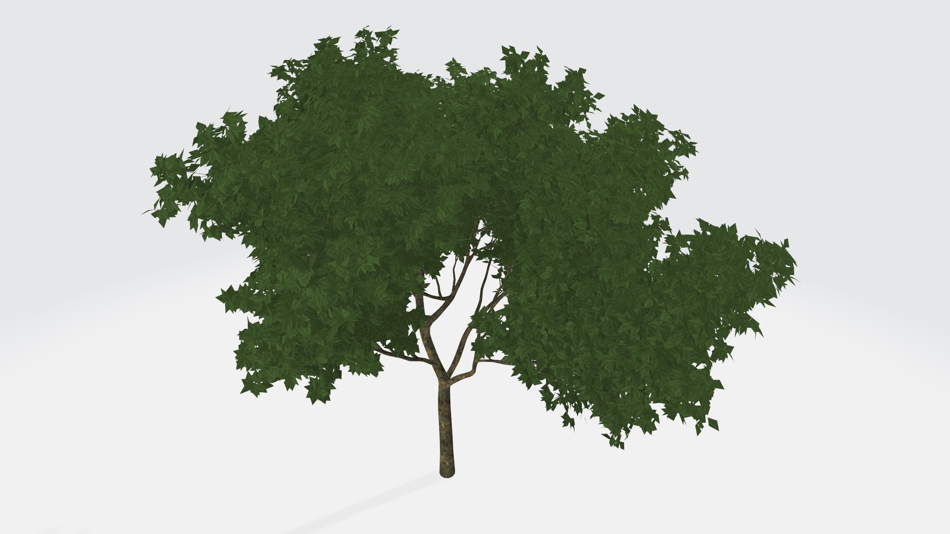 3D Sparse Green Tree - TurboSquid 1956132