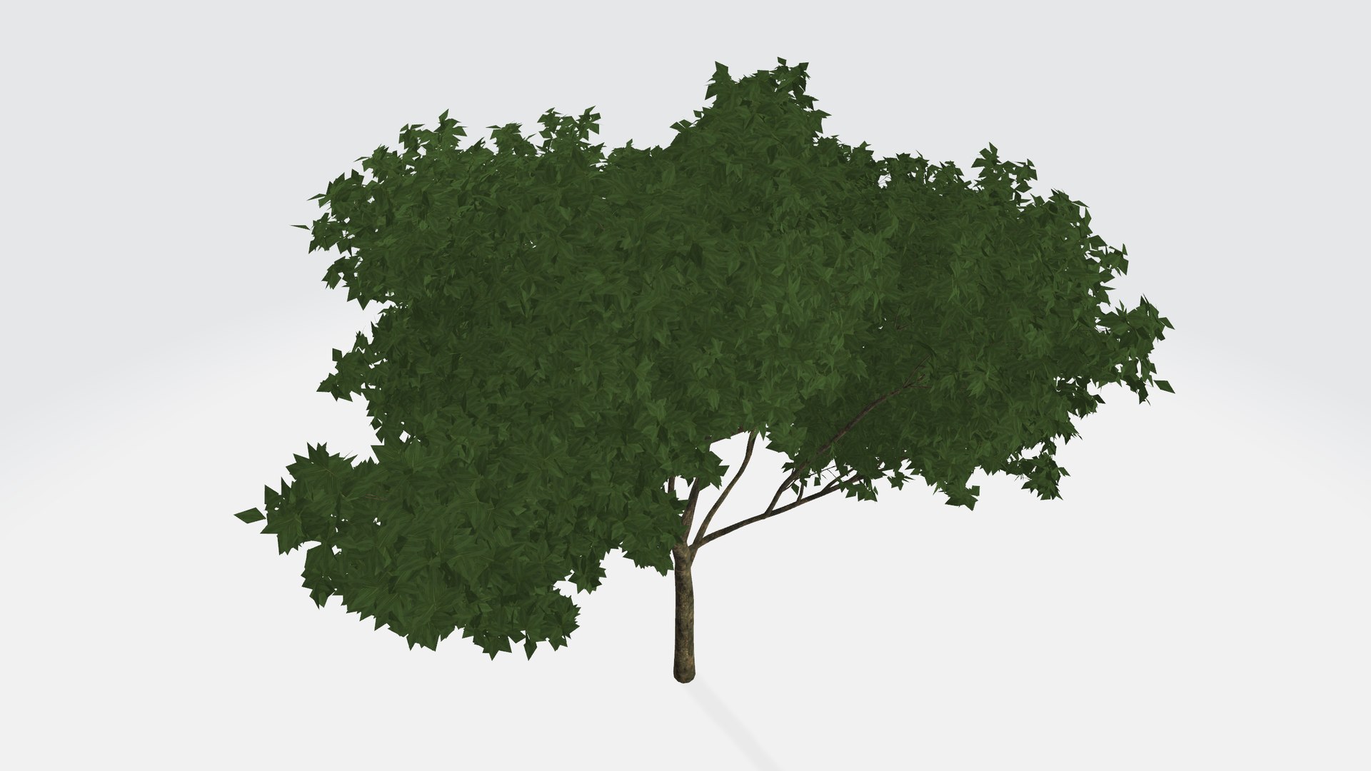 3D Sparse Green Tree - TurboSquid 1956132