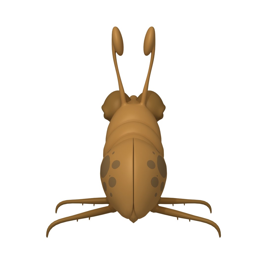 3D Model Bug Cartoon - TurboSquid 1629581
