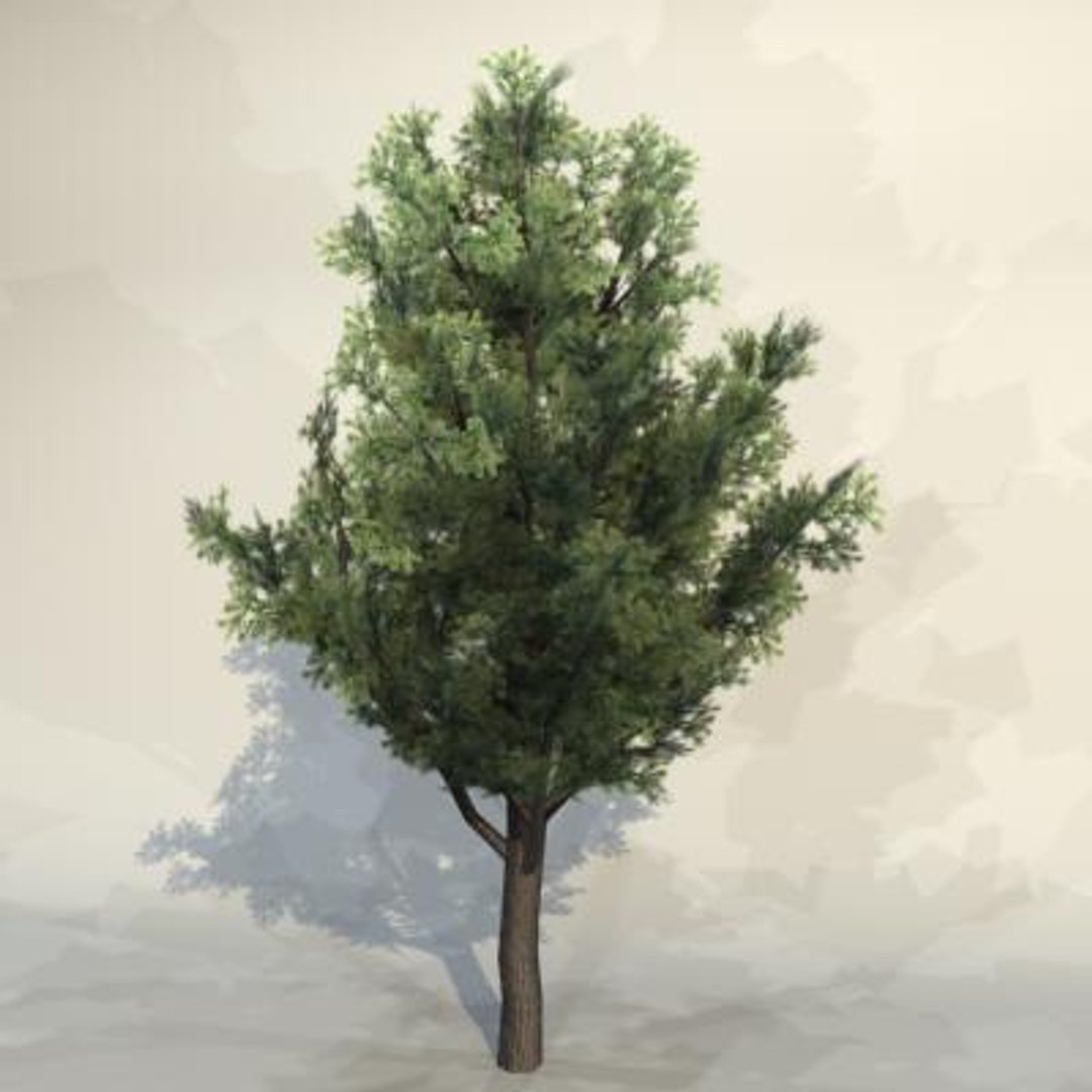 Pc Tree 3d Model