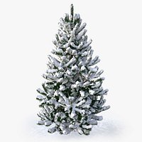 snowy pine tree