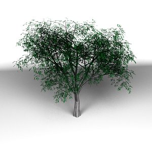 3d tree modo model