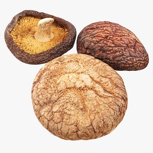 3D Dried Shiitaki mushrooms