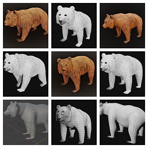 3D bear nature