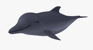 dolphin rigged animate obj