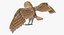 Barn Owl Rigged