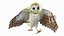 Barn Owl Rigged