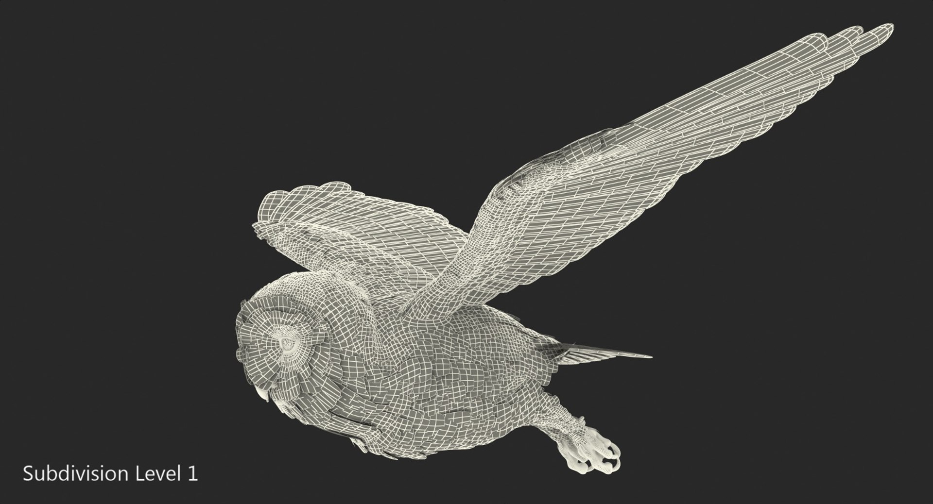 barn owl rigged model https://p.turbosquid.com/ts-thumb/YN/W8HnqP/Y1HJghFM/barnowlrigged3dsmodel023/jpg/1564641300/1920x1080/fit_q87/c228eca121327a6516b4ca86cdef9c8ad8af724b/barnowlrigged3dsmodel023.jpg