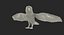 Barn Owl Rigged