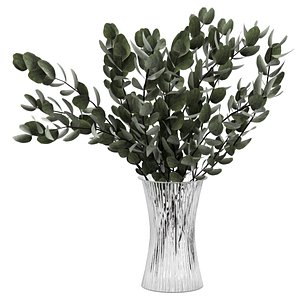 bouquet eucalyptus 3D model