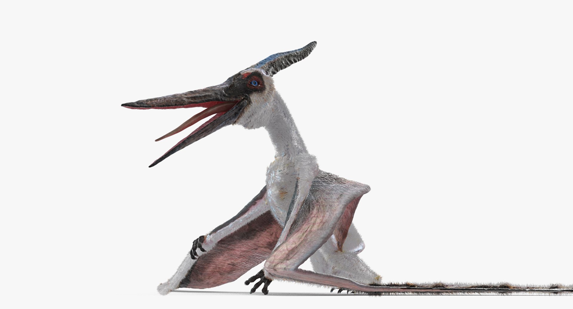 Dinosaur, Pteranodon, Pterodactyl, 3D Computer Graphics, Pterosaurs, Plant  transparent background PNG clipart