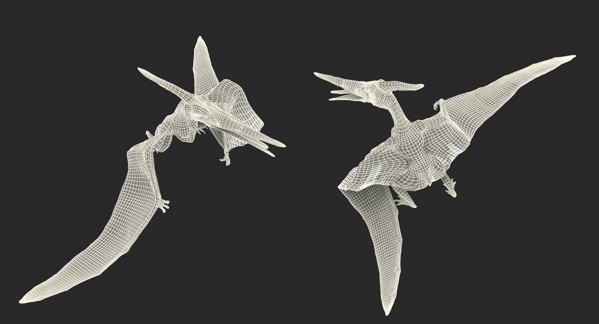 Pteranodon pterosaur white rigged 3D - TurboSquid 1479528