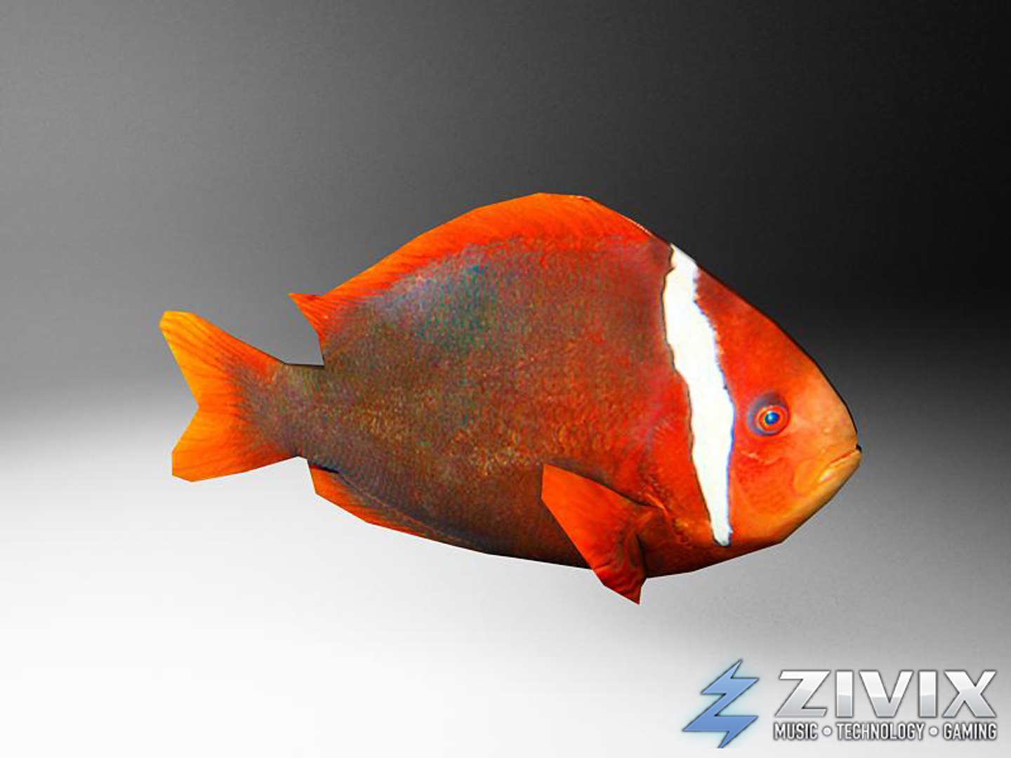 free tropical fish pack 3d model https://p.turbosquid.com/ts-thumb/YN/vGNqtG/2Lxd1v5d/fish13/jpg/1328196464/1920x1080/fit_q87/090acf17c74e3fa97f7d26e55e15463dee36d8bd/fish13.jpg
