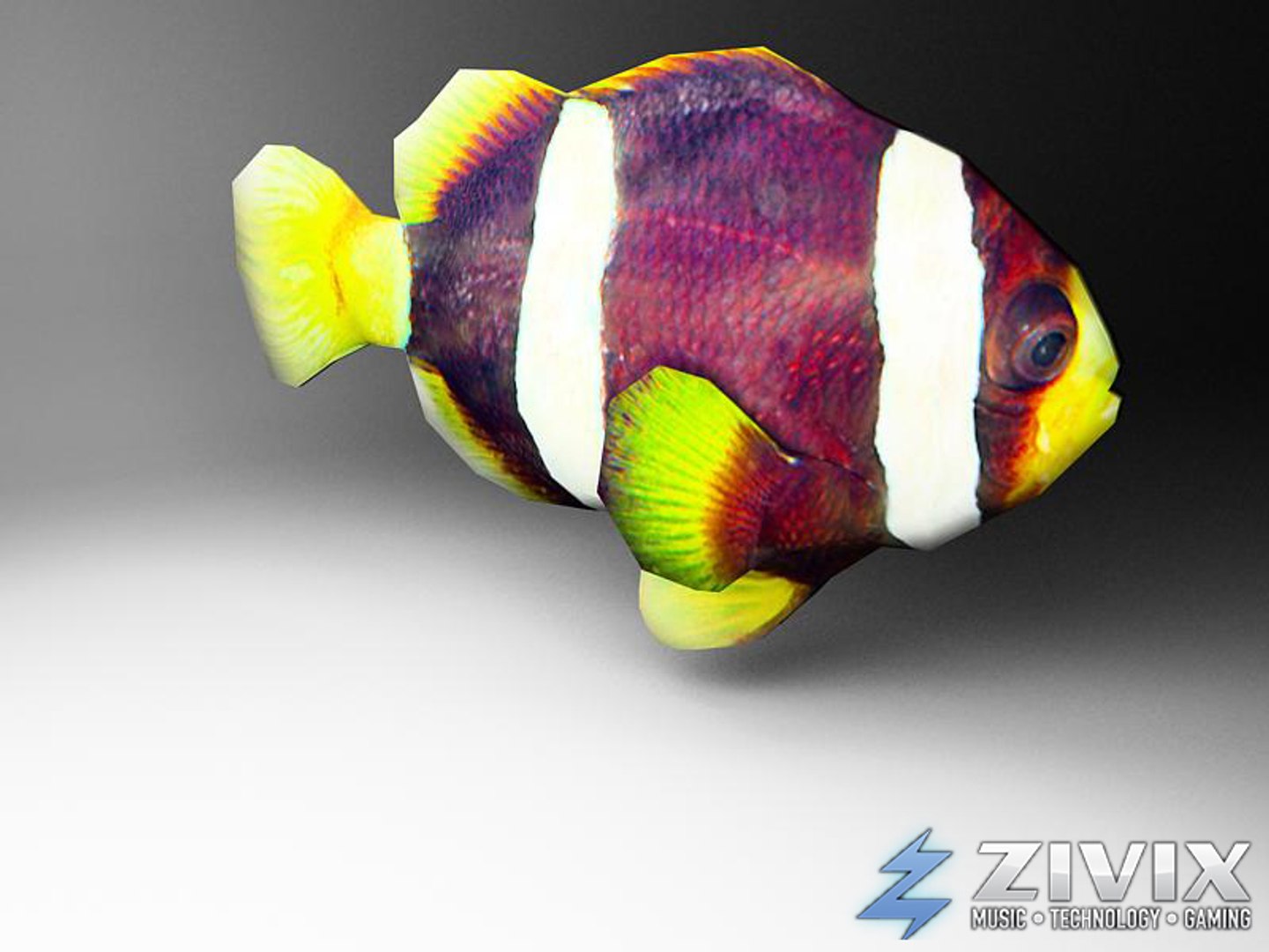 free tropical fish pack 3d model https://p.turbosquid.com/ts-thumb/YN/vGNqtG/FAJSXePf/fish11/jpg/1328196463/1920x1080/fit_q87/adee5a5487d8b70d089124293543167ef4f7890b/fish11.jpg