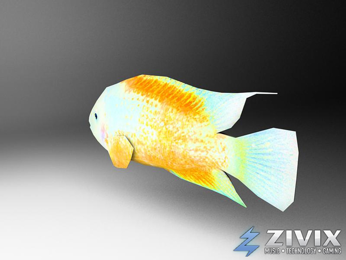 free tropical fish pack 3d model https://p.turbosquid.com/ts-thumb/YN/vGNqtG/FtTZFpSD/fish142/jpg/1328196464/1920x1080/fit_q87/479923861c599c203f8556e7d8d86a1a537e469c/fish142.jpg