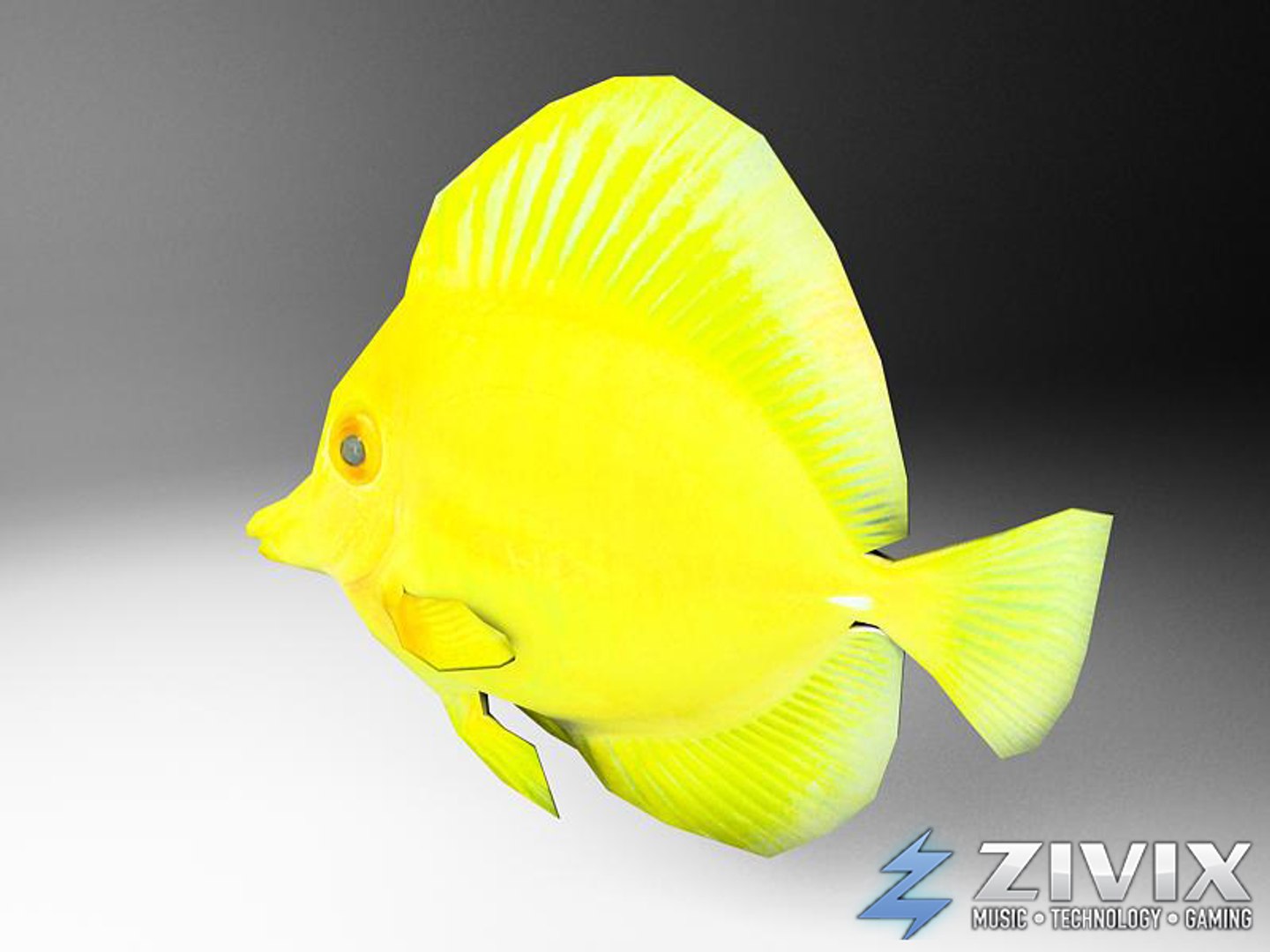 Free Tropical Fish Pack 3d Model