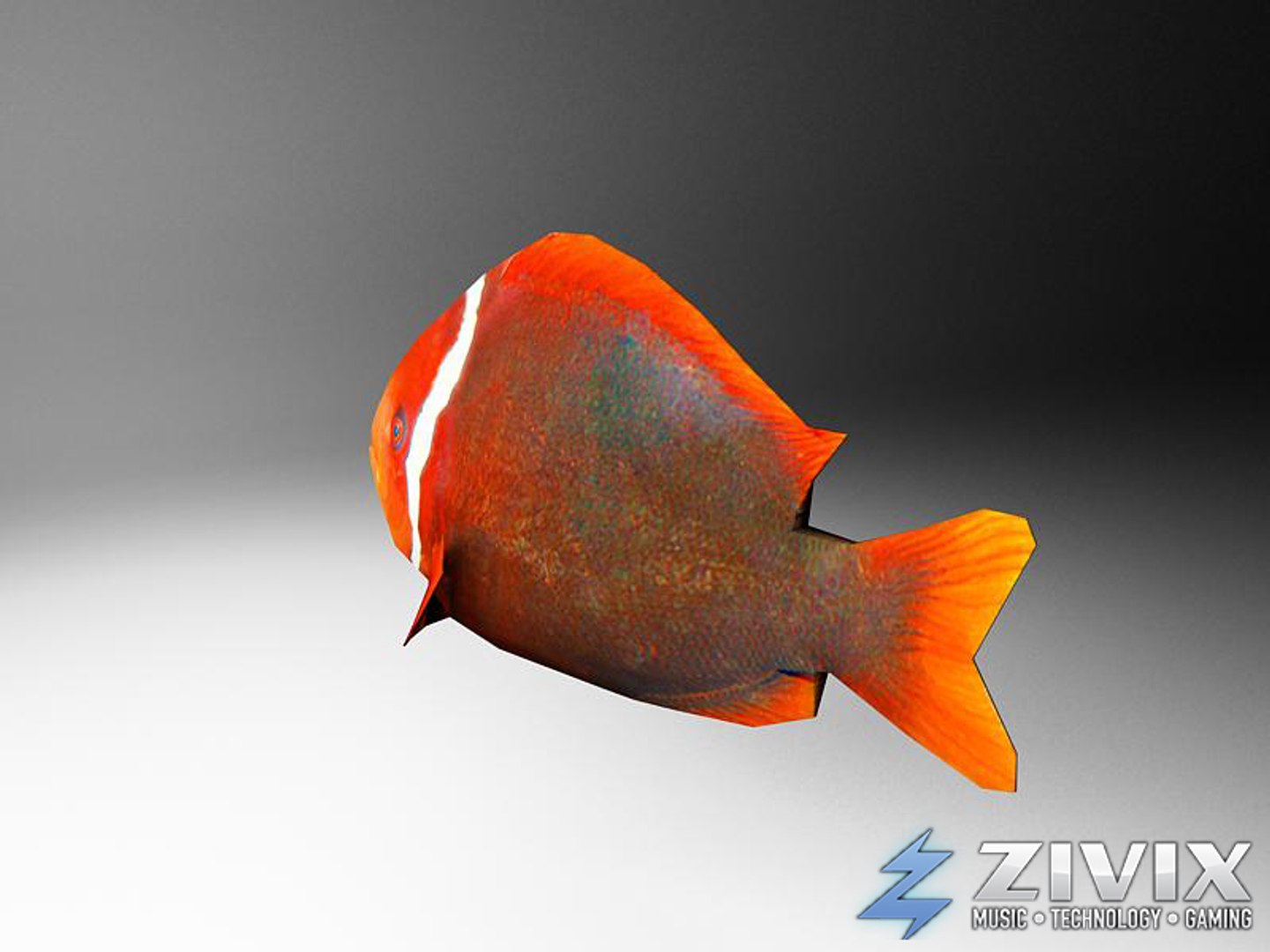 free tropical fish pack 3d model https://p.turbosquid.com/ts-thumb/YN/vGNqtG/JDlZiWQN/fish132/jpg/1328196464/1920x1080/fit_q87/e741b8dcd99864c608869ef33862ae8a670b10f1/fish132.jpg