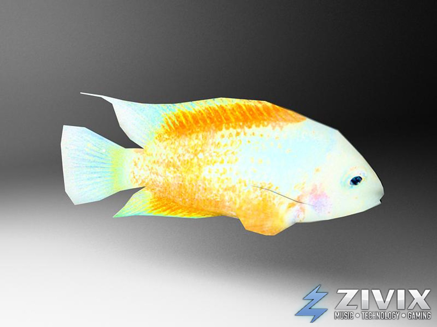 free tropical fish pack 3d model https://p.turbosquid.com/ts-thumb/YN/vGNqtG/N5OnQVvn/fish14/jpg/1328196464/1920x1080/fit_q87/fff1ab135cd4266a122b549594697e1d358d90c8/fish14.jpg