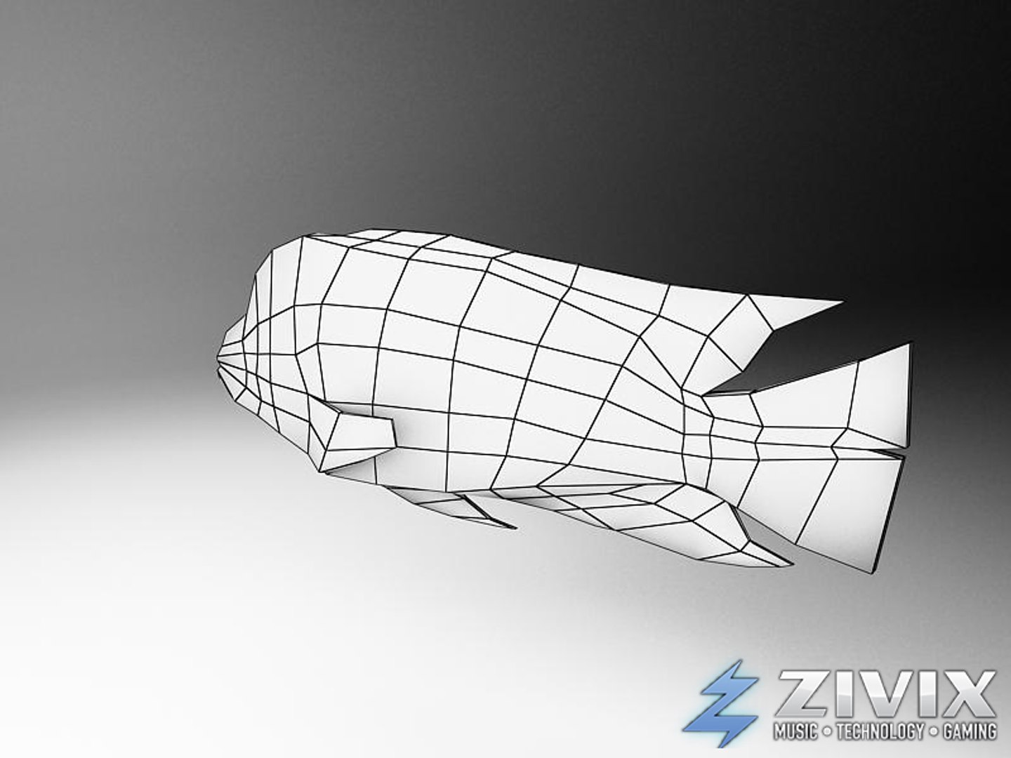 Free Tropical Fish Pack 3d Model