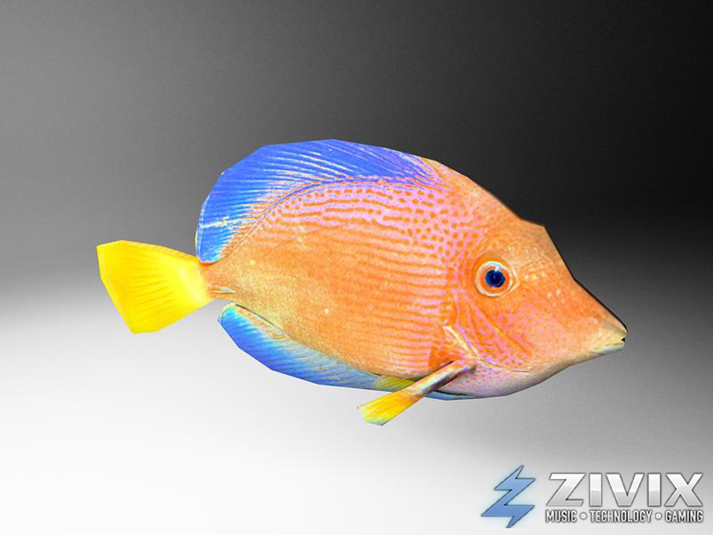 free tropical fish pack 3d model https://p.turbosquid.com/ts-thumb/YN/vGNqtG/i4p2GyxS/fish08/jpg/1328196463/1920x1080/fit_q87/dba6217731ac4fb58b9668d6da068ef38f17e3a6/fish08.jpg
