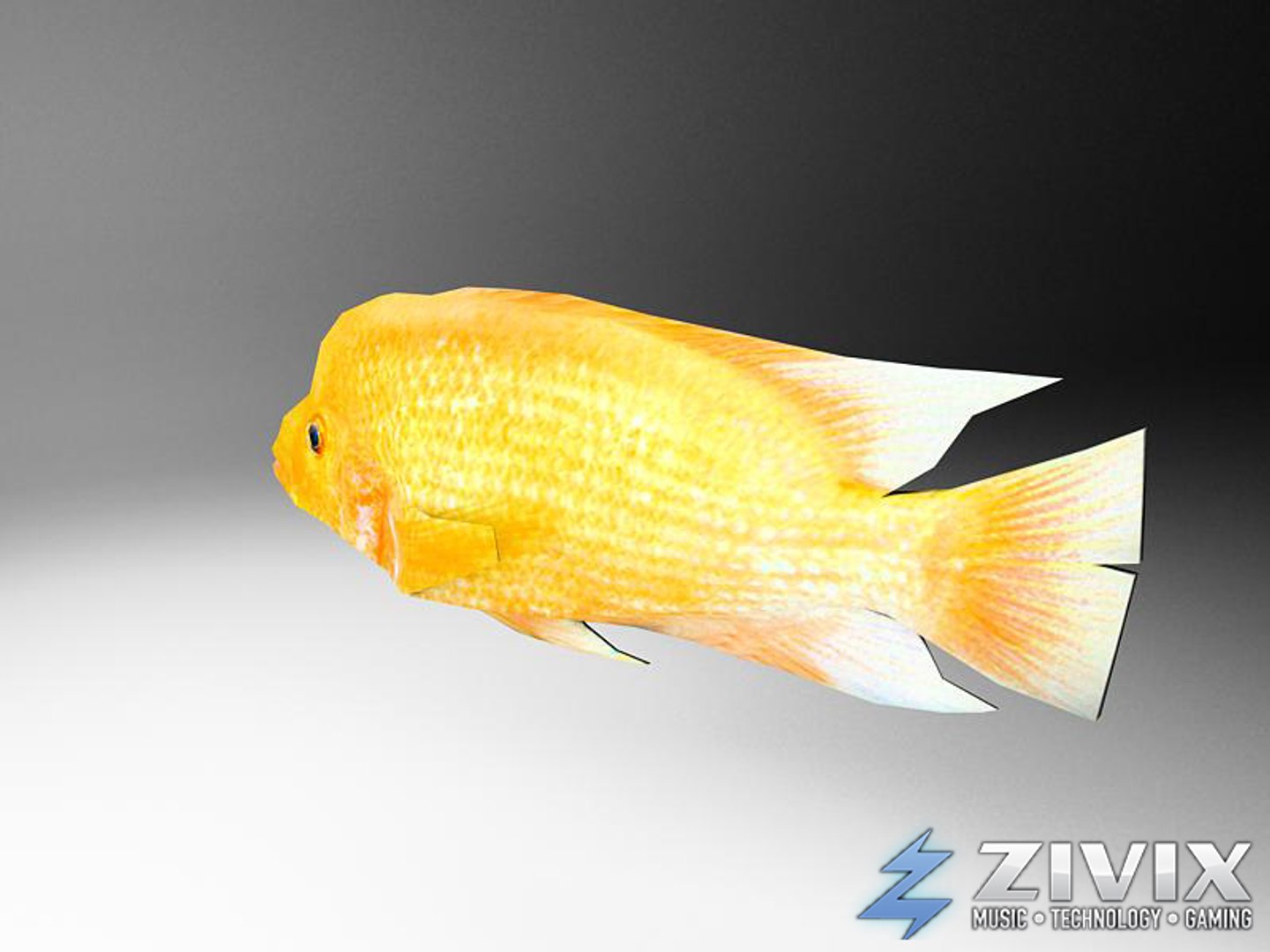 free tropical fish pack 3d model https://p.turbosquid.com/ts-thumb/YN/vGNqtG/qiJqKnQY/fish092/jpg/1328196463/1920x1080/fit_q87/4bb693c64f8e88977212d31a282d5f4b87e6dd9f/fish092.jpg