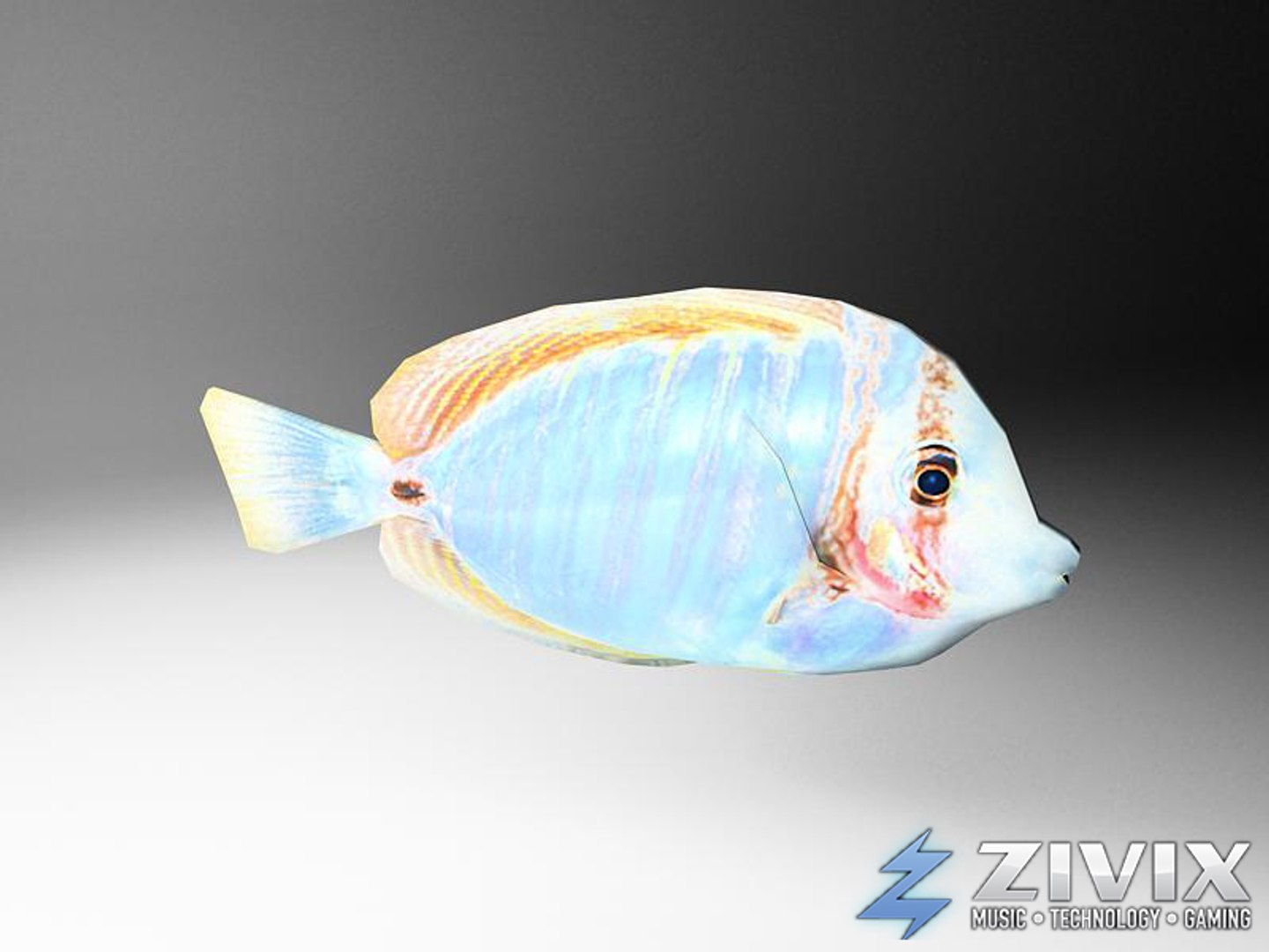 free tropical fish pack 3d model https://p.turbosquid.com/ts-thumb/YN/vGNqtG/xdXh34Ci/fish10/jpg/1328196463/1920x1080/fit_q87/b3d6c87766ccfb039d01ffc564e9890cbd4eac70/fish10.jpg