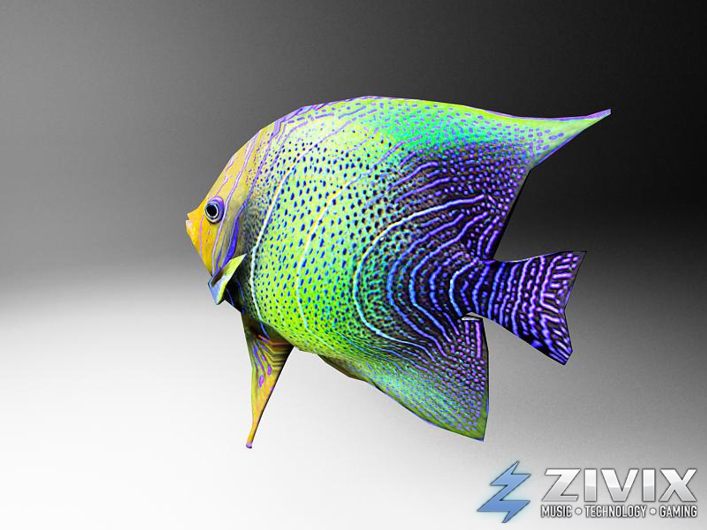 free tropical fish pack 3d model https://p.turbosquid.com/ts-thumb/YN/vGNqtG/z1oki9Mz/fish152/jpg/1328196464/1920x1080/fit_q87/1fbdc276eb393cb0905c590451081460ac63f388/fish152.jpg