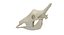 giraffe skulls 5 1 3D