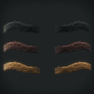 eyebrows 5 3D