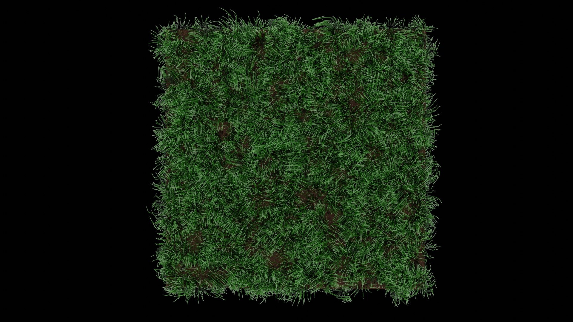 grass 3D https://p.turbosquid.com/ts-thumb/YO/CguUh9/L5/g5/jpg/1679202761/1920x1080/fit_q87/c7bc621df6b4a51328aba3399eb652aed0d6568d/g5.jpg