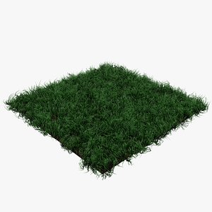 grass 3D