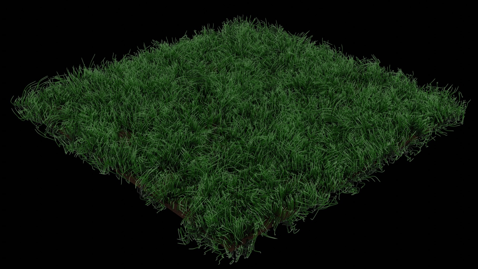 grass 3D https://p.turbosquid.com/ts-thumb/YO/CguUh9/X2/g1/jpg/1679202748/1920x1080/fit_q87/21e097bcc90efb2c46ca285dc2c33e9ca8ded73f/g1.jpg