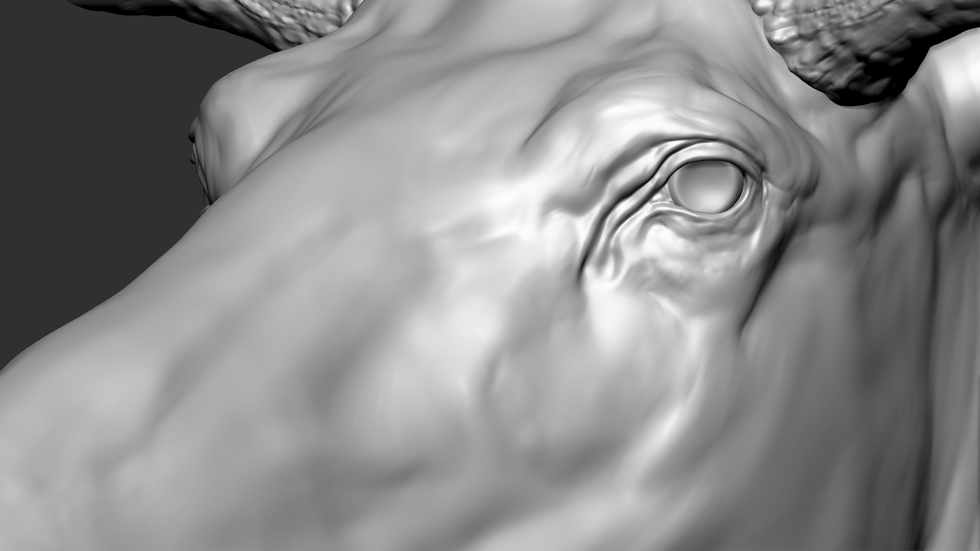 3D Moose VFX MUSCLE SIMULATION - TurboSquid 1886626